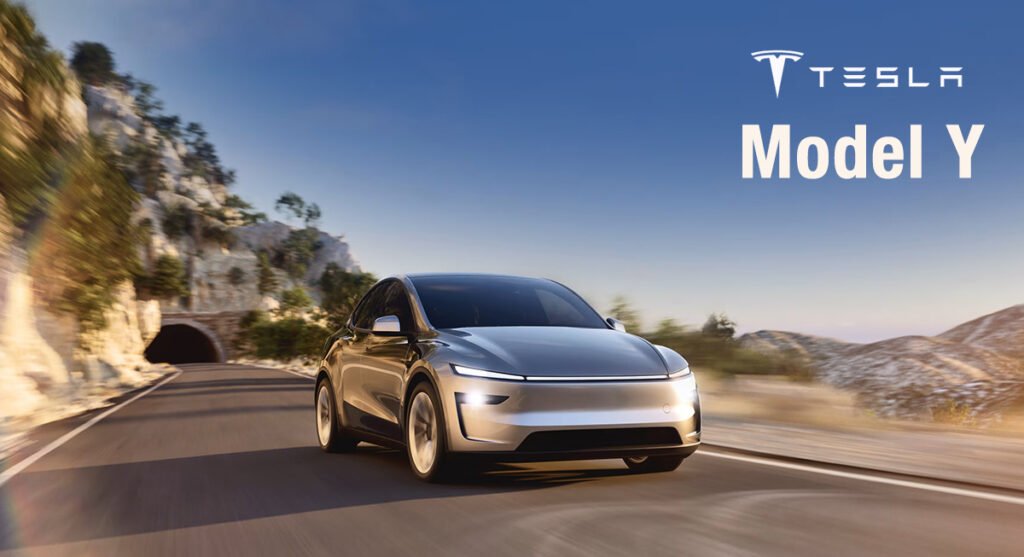 Tesla India Launch