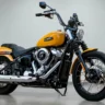 Harley Davidson Street Bob 117