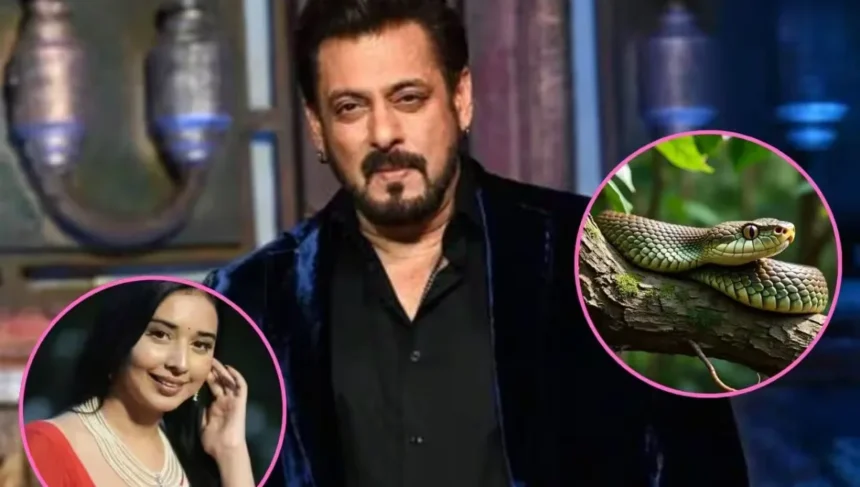 Big Boss 19: सांप की एंट्री और नामांकन की आग में झुलसे घरवाले
