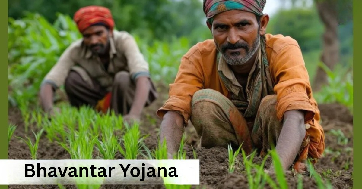 Bhavantar Yojana